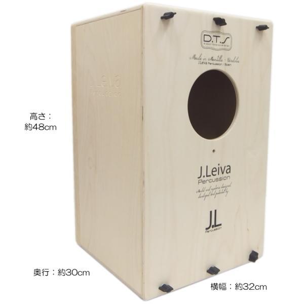 組立式カホン Easy CAJON 専用ケース付き イージー カホン 木製