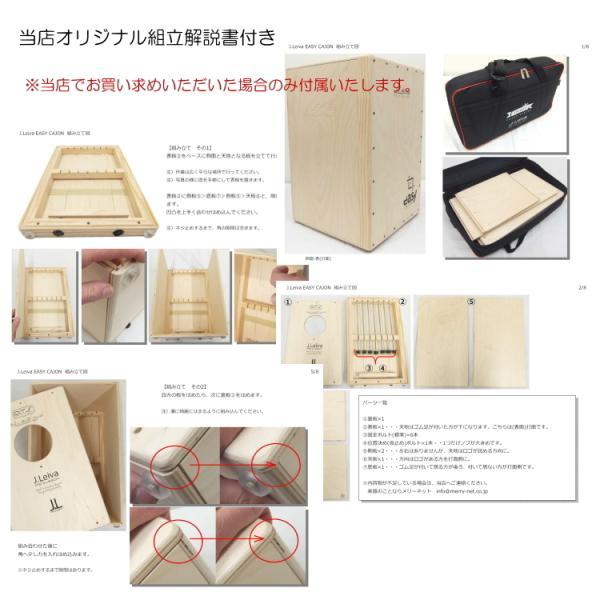 組み立て式カホン 組立式カホン Easy CAJON 専用ケース付き イージー カホン 木製