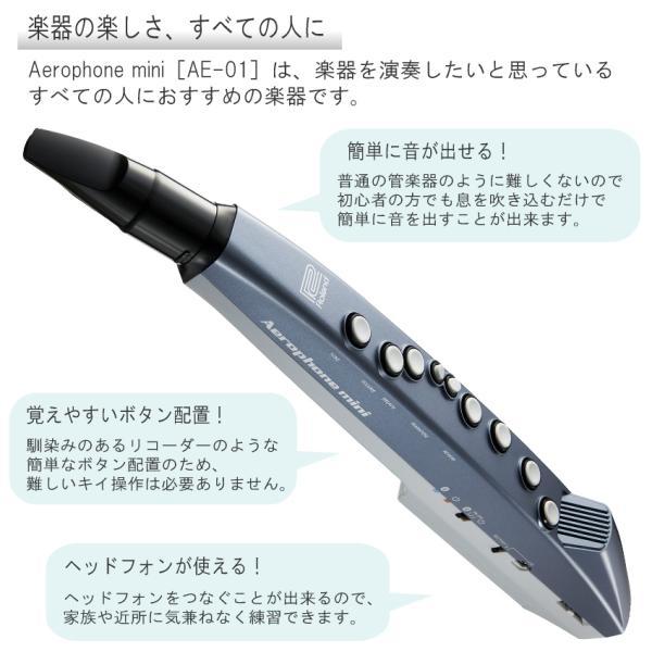 美品 ローランド Aerophone mini AE-01 デジタル管楽器 Amazon.com: ROLAND AE-01 Aerophone mini Digital Wind
