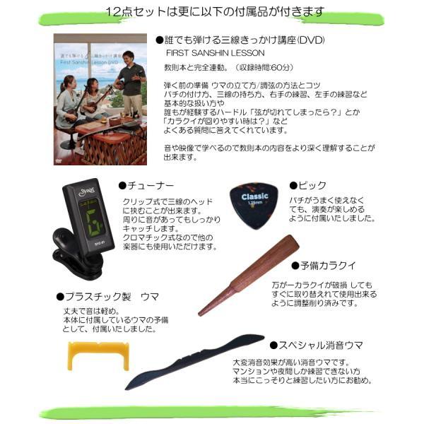 沖縄三線 スタンダード人工皮 初心者向けセット Bセット : 音響機材と