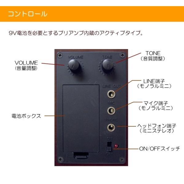 KIKUTANI（キクタニ） 消音効果抜群のエレキバイオリン ESV-380