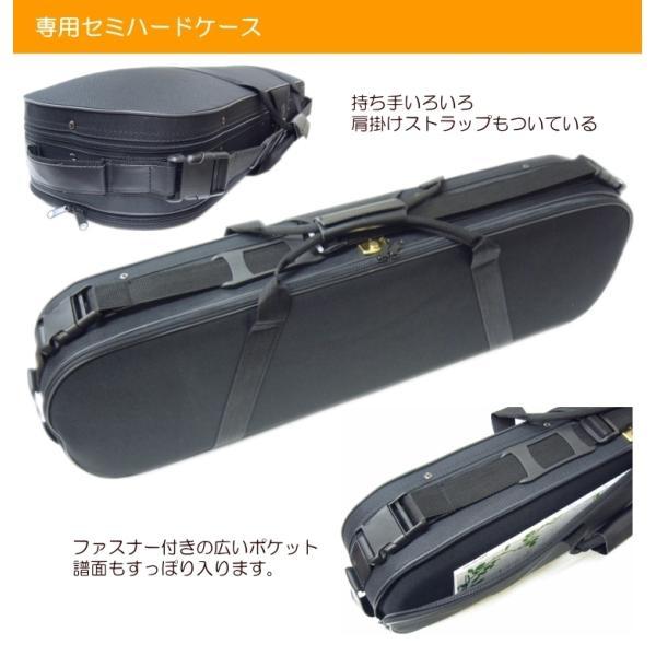 KIKUTANI（キクタニ） 消音効果抜群のエレキバイオリン ESV-380