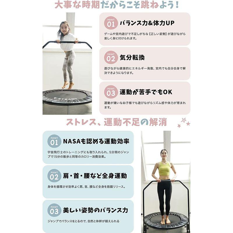 STEADY トランポリン 補助手すり付 102cm Designed in Japan 耐荷重110kg / 全8色 / 独自開発Powe トランポリン 補助手すり付 102cm Designed in Japan 耐荷重110kg 全8色 独自開発Powe 　STEADY 　