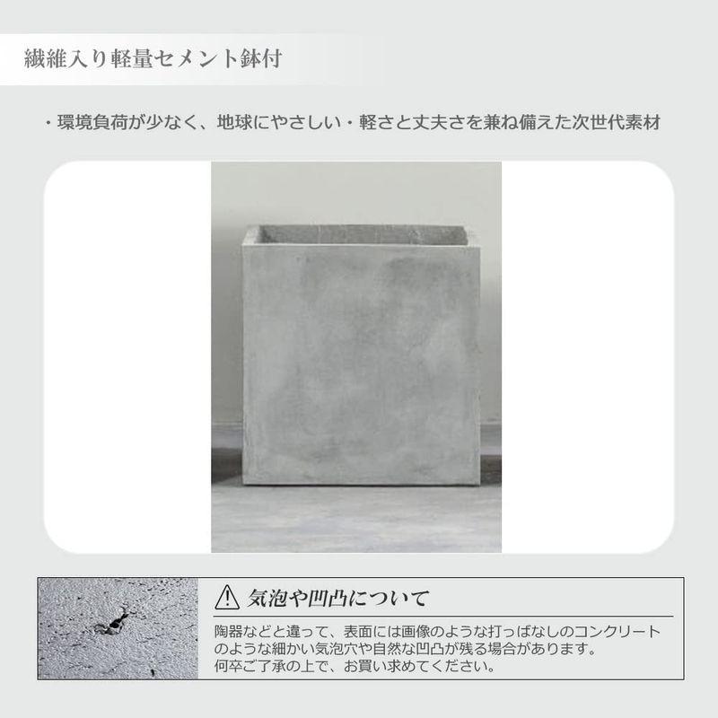 観葉植物 オリーブの木 200? 特大 人工観葉植物 フェイクグリーン 造花 光触媒 鉢付 軽量セメント ファイバーセメント フェイク グリ 観葉植物 特大 人工観葉植物 フェイクグリーン 造花 光触媒 鉢付 軽量セメント ファイバーセメント フェイク グリ 　