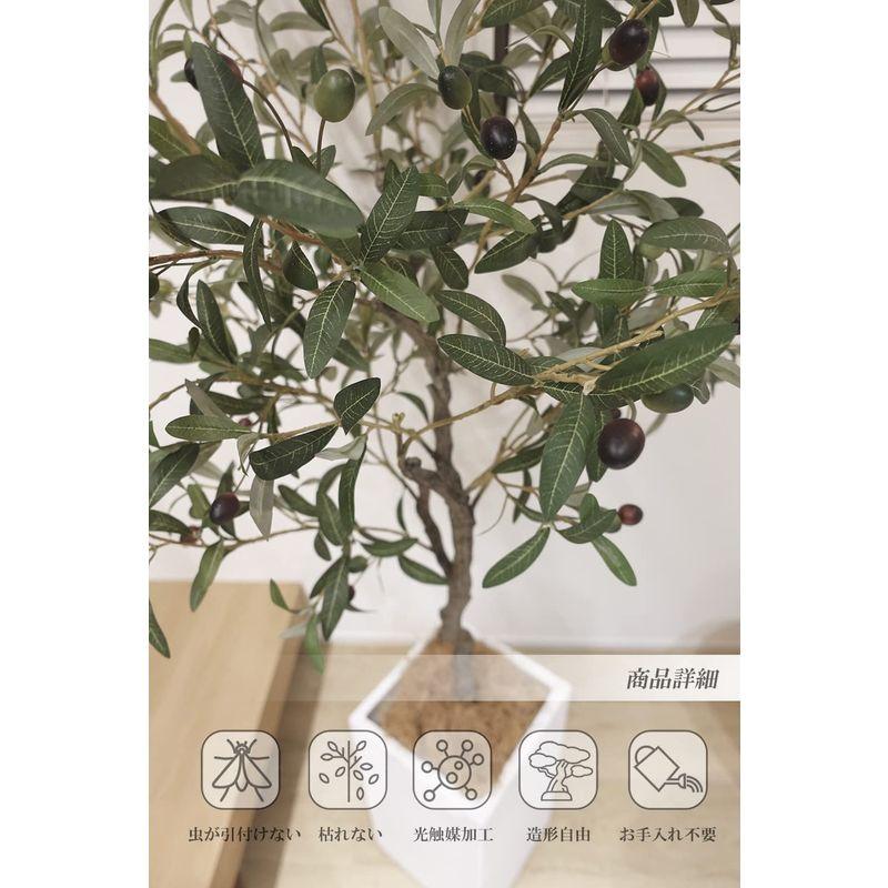 観葉植物 オリーブの木 200? 特大 人工観葉植物 フェイクグリーン 造花 光触媒 鉢付 軽量セメント ファイバーセメント フェイク グリ 観葉植物 特大 人工観葉植物 フェイクグリーン 造花 光触媒 鉢付 軽量セメント ファイバーセメント フェイク グリ 　