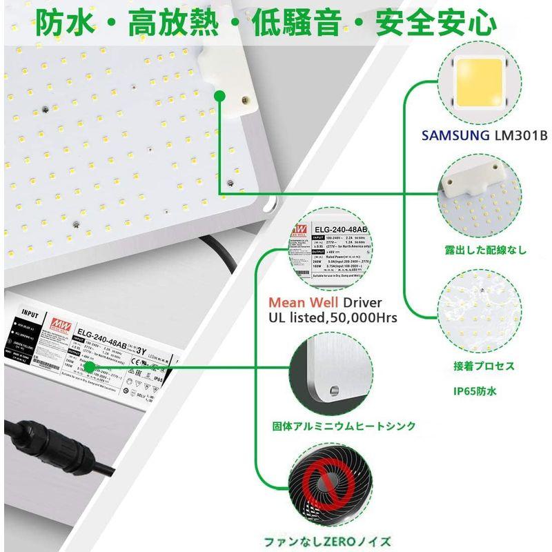 LEDライト Aokyoung 植物育成ライト LED光合成ライト 4000W SAMSUNG LM301Bライトチップ フルスペクトル 光補足 Mean - 5