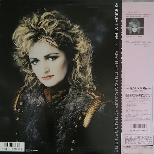 BONNIE TYLER ボニータイラー SECRET DREAMS AND FORBIDDEN FIRE 秘め