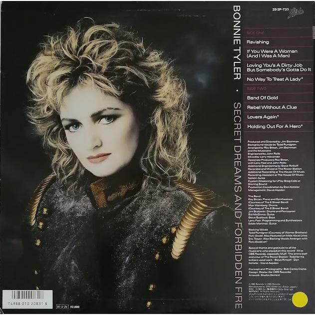BONNIE TYLER ボニータイラー SECRET DREAMS AND FORBIDDEN FIRE 秘め
