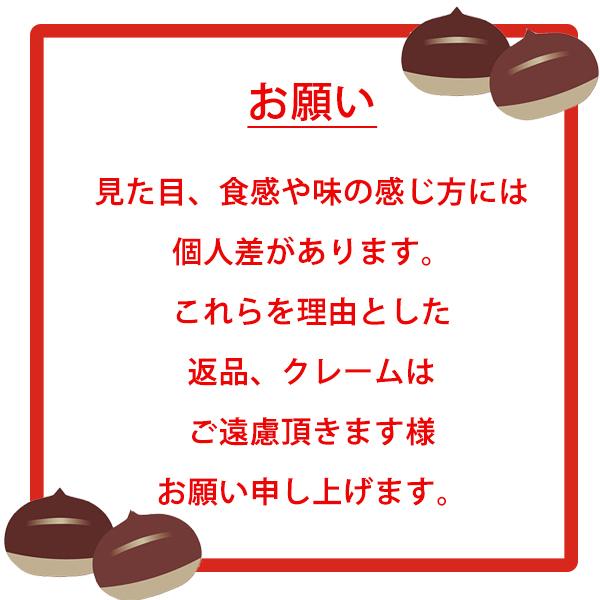 新栗 無添加 大粒 天津甘栗×約500g 【2〜3営業日以内に出荷】指定日