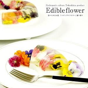 エディブルフラワー 選り取り ミックス なでしこ ビオラ 冷蔵 賞味期限 発送日も含め5日程度 3 4営業日以内に出荷 産地直送のため同梱不可 めしやpaypayモール店 通販 Paypayモール
