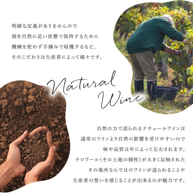 ナチュール ワイン レ ザスレット デュ ヴァン 4本セット ［冷蔵のみ