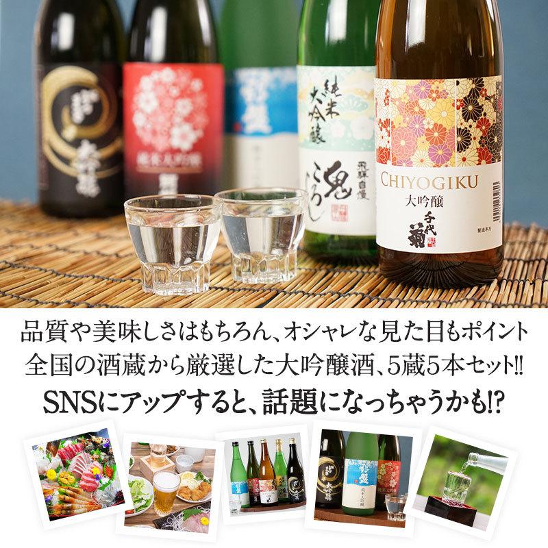 日本酒 5酒蔵の純米大吟醸・大吟醸 飲み比べ720ml 5本組セット 