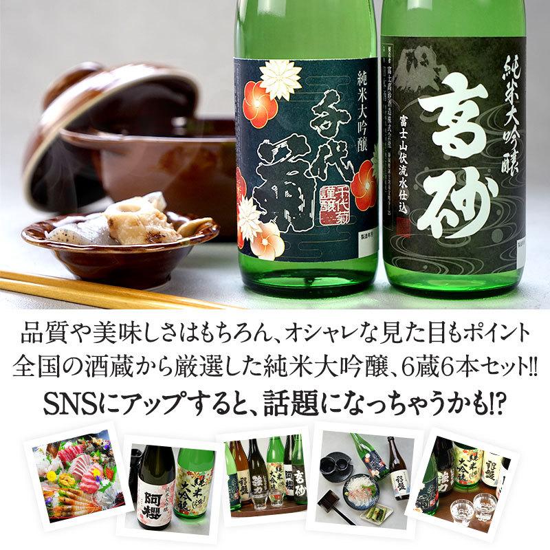 日本酒 厳選6酒蔵の純米大吟醸酒 飲み比べ720ml 6本組セット 日本酒 厳選6酒蔵の純米大吟醸酒 飲み比べ720ml 6本組セット