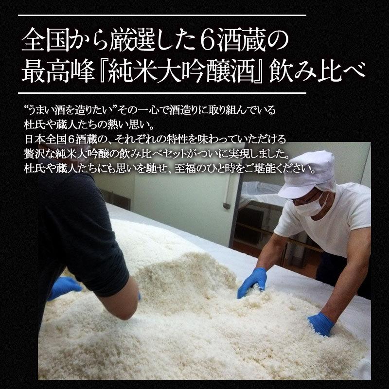 日本酒 厳選6酒蔵の純米大吟醸酒 飲み比べ720ml 6本組セット 送料無料