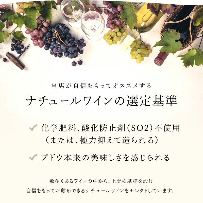 お試し オレンジワイン 3本 セット 初心者の方におすすめの お試し オレンジワイン 3本 セット 初心者の方におすすめの