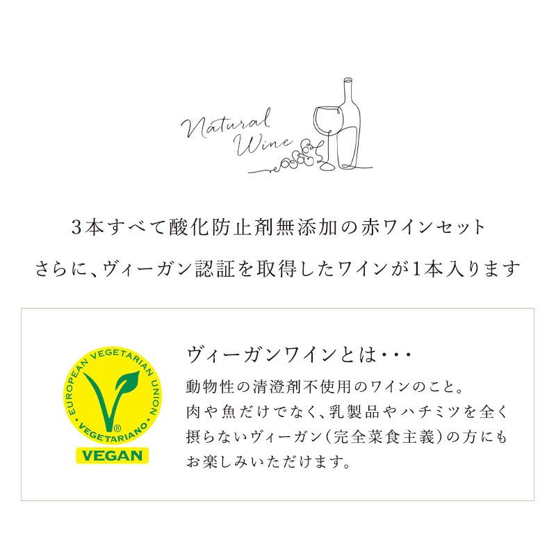 お試し 全部 酸化防止剤無添加ワイン 赤ワイン 3本 セット［冷蔵のみ］【1〜2営業日以内に出荷】【送料無料】 [W]｜meshiya｜02