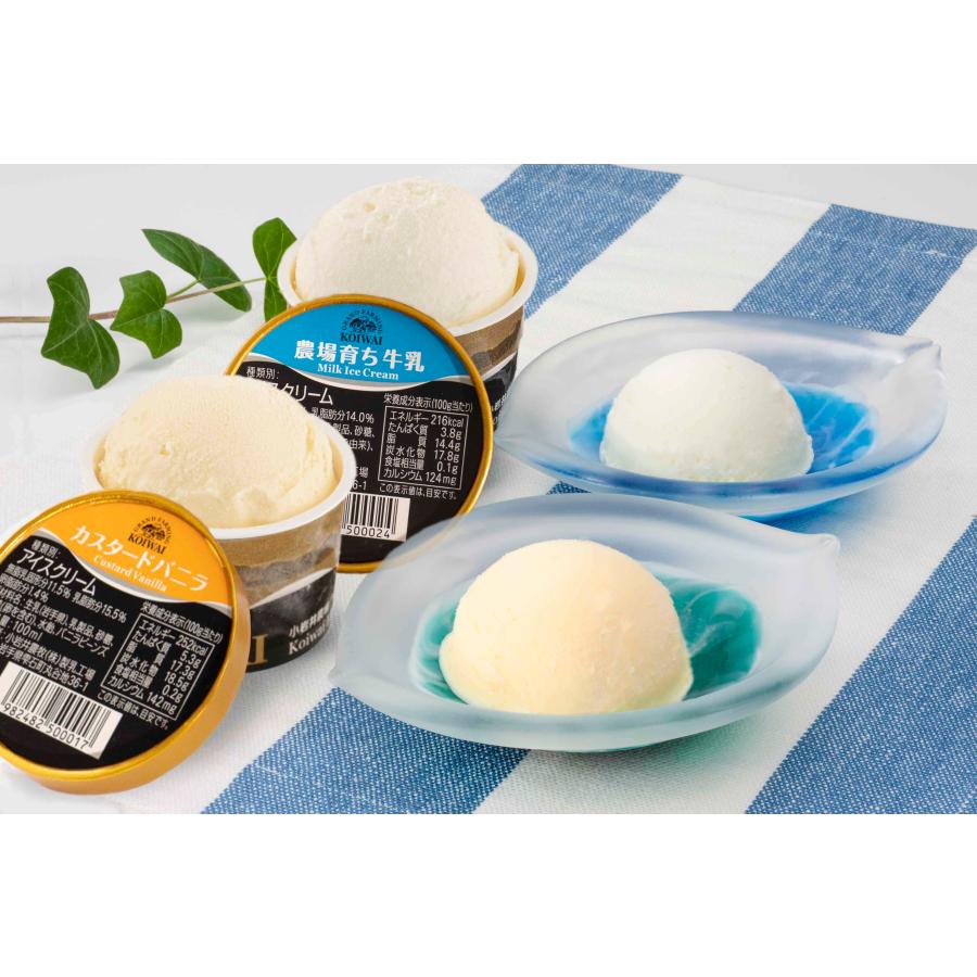 小岩井農場　特製アイスクリームセット （カスタードバニラ100ml×5＆農場育ち牛乳100ml×5）（OS）（代引・他の商品と混載不可）（沖縄・離島への発送は不可） | 