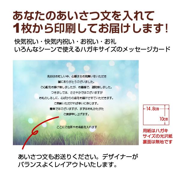 あなたのあいさつ文を入れて1枚から印刷ok 快気祝い メッセージカード お見舞い オリジナル 快気内祝い お礼 お見舞い返し 退院報告 挨拶状 ごあいさつ Kaiki04 写真deメッセージカードショップ 通販 Yahoo ショッピング