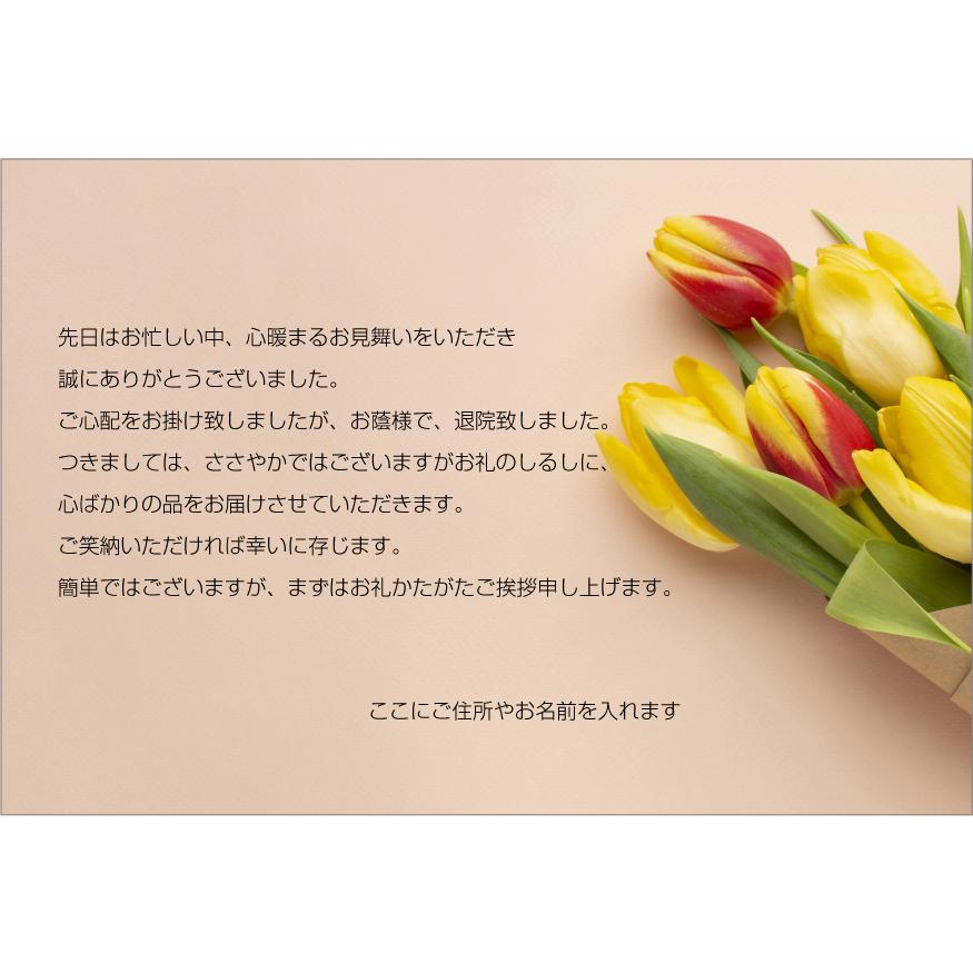 再再販 あなたのあいさつ文を入れて1枚から印刷ok 快気祝い メッセージカード お見舞い オリジナル 快気内祝い お礼 お見舞い返し 退院報告 挨拶状 ごあいさつ Nhaankhang Com