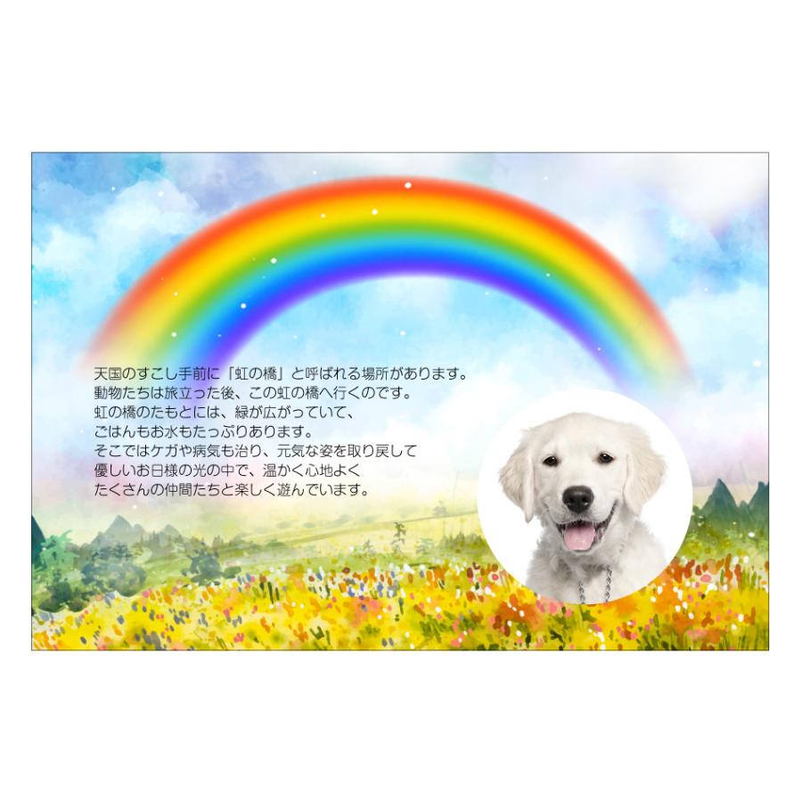 大切なペットの写真を入れて1枚から印刷OK！】ペット メモリアルカード
