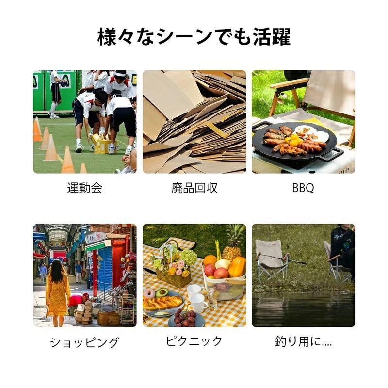 キャリーカート 折りたたみ コンパクト キャリー カート 【耐荷重80KG】軽量 台車 折り畳み 灯油 キャリー カート ハンドキャリー 折りたたみ式キャリーカートの画像