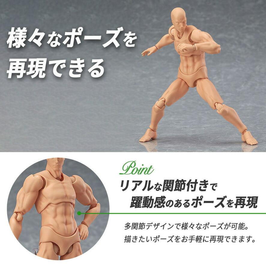 デッサンドール 男女セット台座付き 人形人体 模型 フィギュア