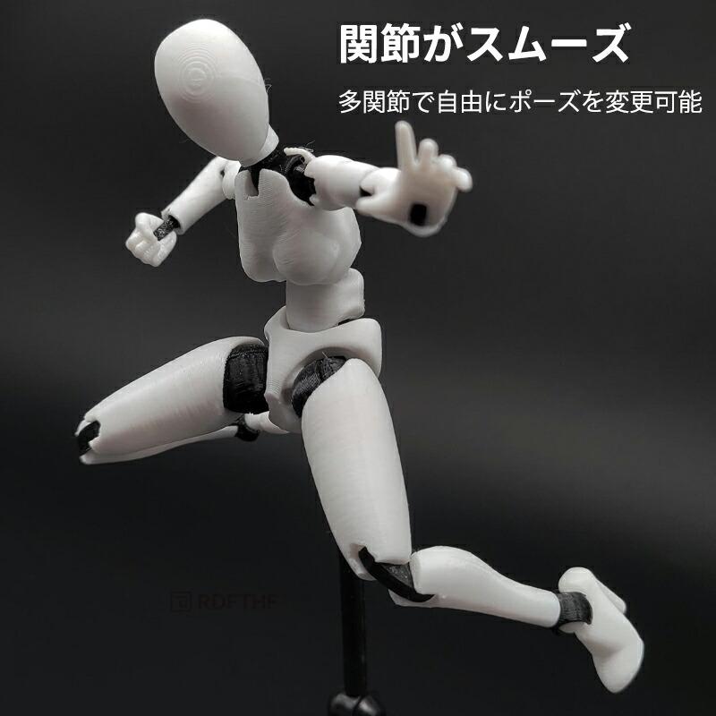 デッサンドール 男女セット台座付き 人形人体 模型 フィギュア