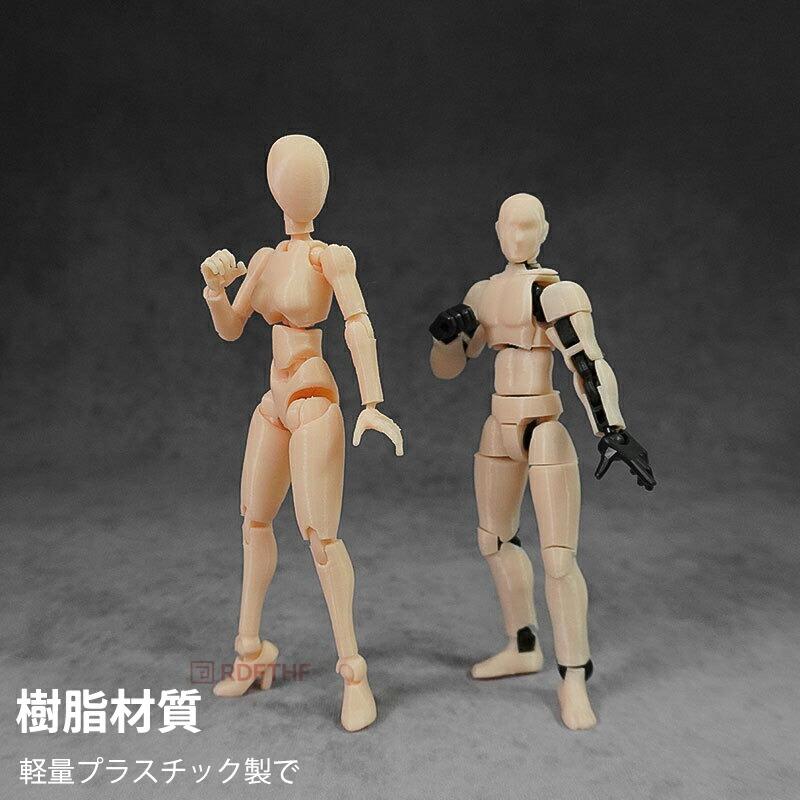 デッサンドール 男女セット台座付き 人形人体 模型 フィギュア