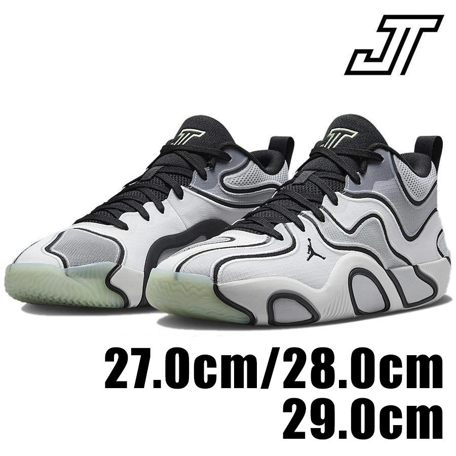Jordan NIKE TATUM 3 PF Zen FZ6601 001 メンズ グレー ホワイト