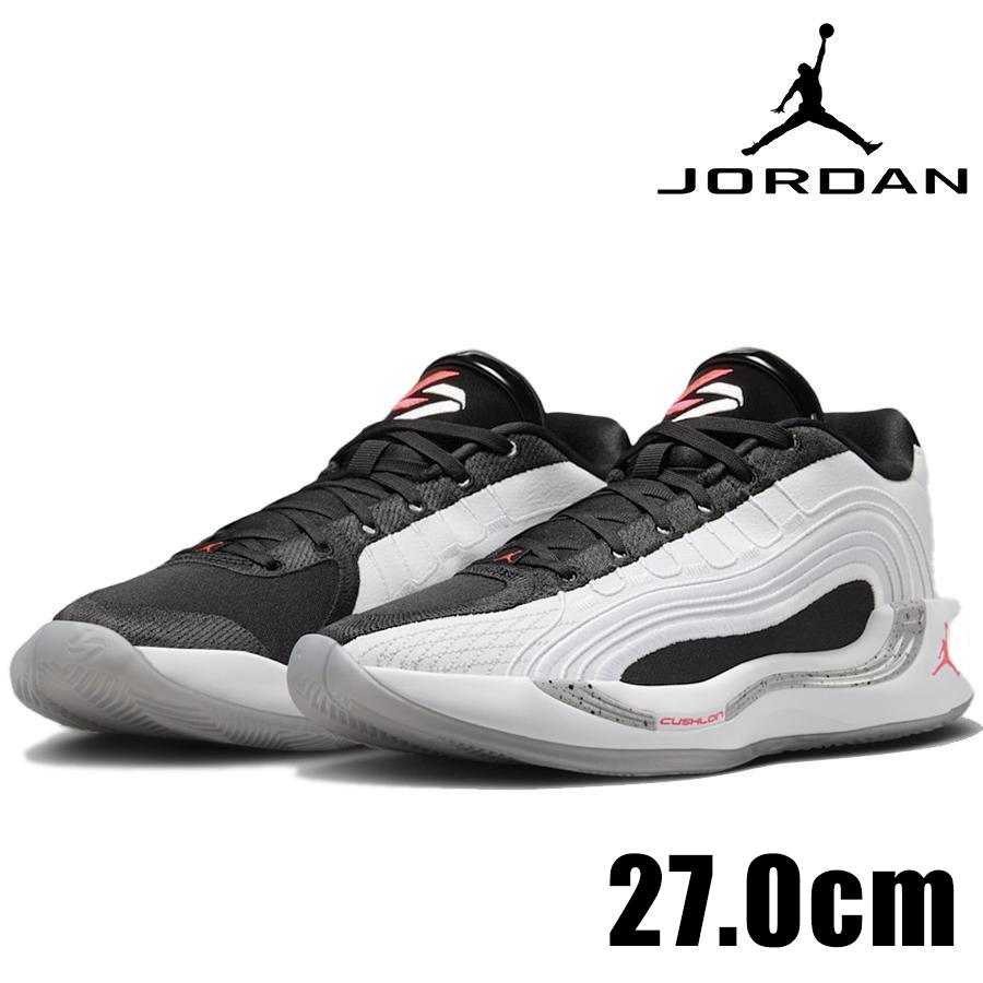 Jordan NIKE JORDAN LUKA 4 PF White Cement HF0824 101 メンズ