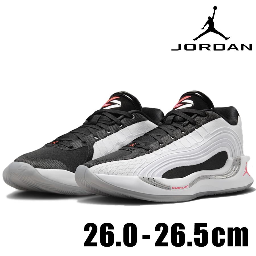 Jordan NIKE JORDAN LUKA 4 PF White Cement HF0824 101 メンズ