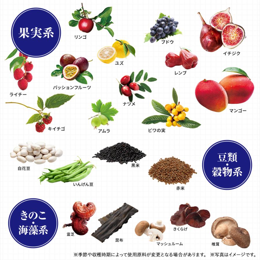 酵素 サプリ 3袋セット 酵素×酵母 イースト × エンザイム ダイエット 60粒 30回分 メタボリック 栄養機能食品 乳酸菌 酵母菌 麹 発酵 活性 代謝 | メタボリック | 08