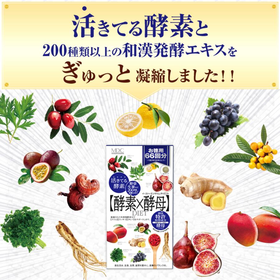 サプリメント 2箱セット 酵素 × 酵母 イースト エンザイム ダイエット 132粒 66回分 お徳用 メタボリック 栄養機能食品 女性 健康 代謝 | メタボリック | 05