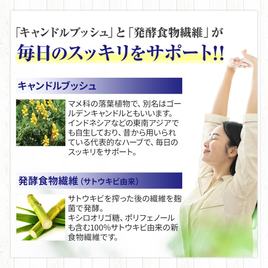 サプリメント 酵素 × 酵母 イースト エンザイム ダイエット 132粒 66回分 お徳用 メタボリック 栄養機能食品 代謝 サプリ 健康 酵素サプリ | メタボリック | 12