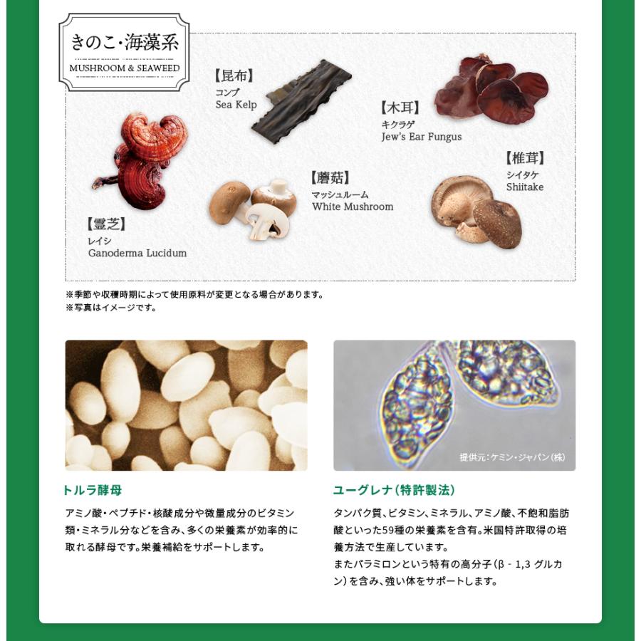 サプリメント 酵素 × 酵母 イースト × エンザイム クレンズバリア 60カプセル 30回分 メタボリック 乳酸菌 サプリ 健康 酵素サプリ 発酵 | メタボリック | 11