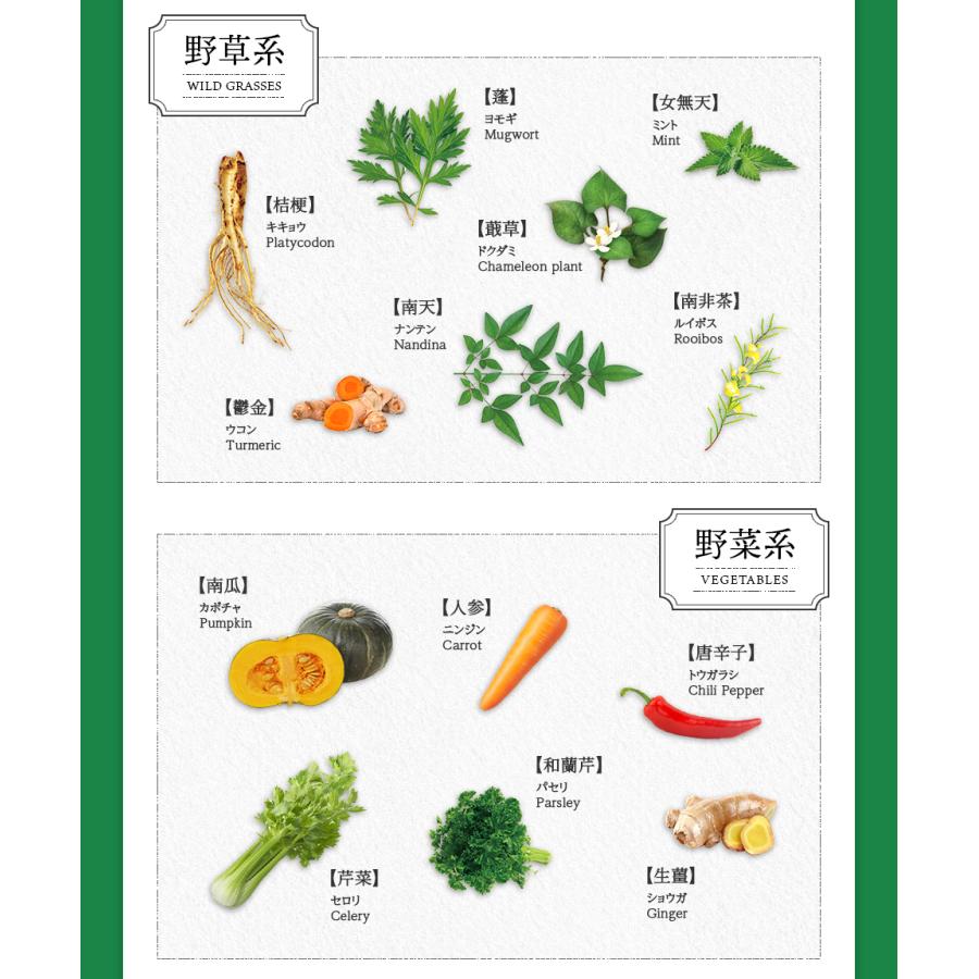 サプリメント 酵素 × 酵母 イースト × エンザイム クレンズバリア 60カプセル 30回分 メタボリック 乳酸菌 サプリ 健康 酵素サプリ 発酵 | メタボリック | 09