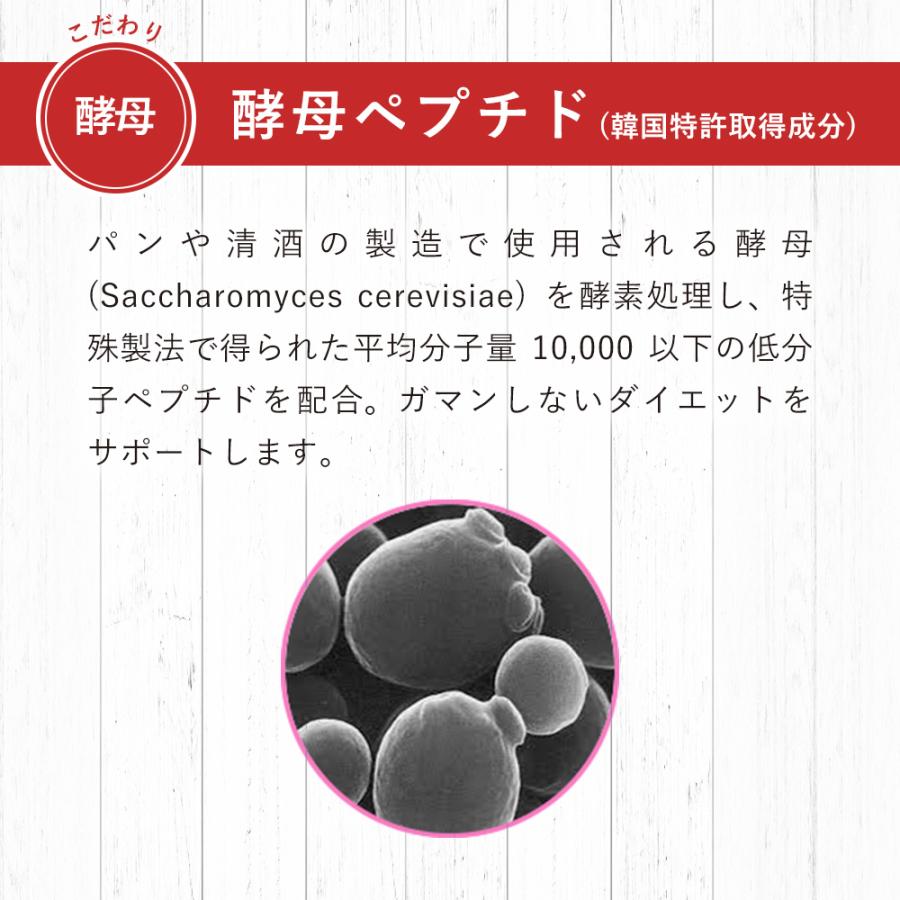酵素ゼリー 酵素 × 酵母 イースト × エンザイム ダイエット ゼリー グレープフルーツ味 150g×6袋入 メタボリック ビタミン ミネラル 栄養 | メタボリック | 07