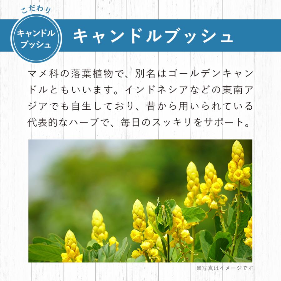 酵素ゼリー 酵素 × 酵母 イースト × エンザイム ダイエット ゼリー グレープフルーツ味 150g×6袋入 メタボリック ビタミン ミネラル 栄養 | メタボリック | 08