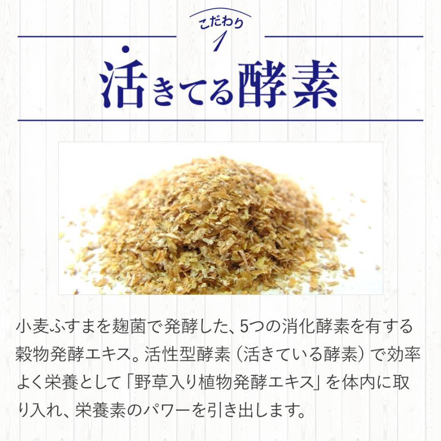 メタボリック サプリメント 酵素 × 酵母 イースト × エンザイム