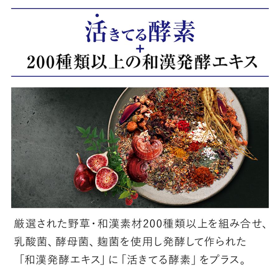 メタボリック サプリメント 酵素 × 酵母 イースト エンザイム