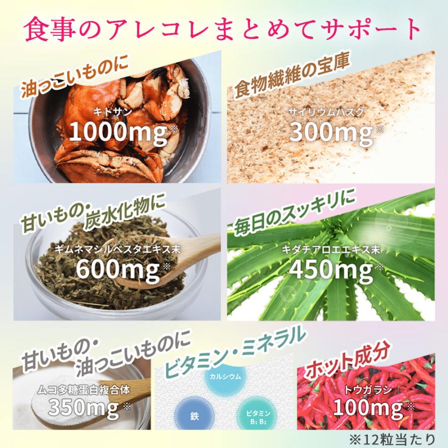 サプリメント キトサン アフター ダイエット 徳用 360粒 60回分 メタボリック 脂質 糖質 健康食品 キダチアロエ サプリ 女性 食物繊維 | メタボリック | 04