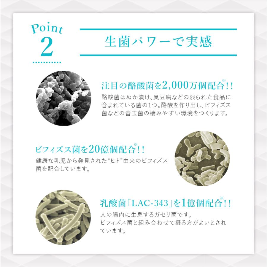 メタボリック 酪酸菌 サプリ マイビオ 20カプセル10回分 腸活 メタボリック 酪酸菌 サプリ マイビオ 20カプセル10回分 腸活