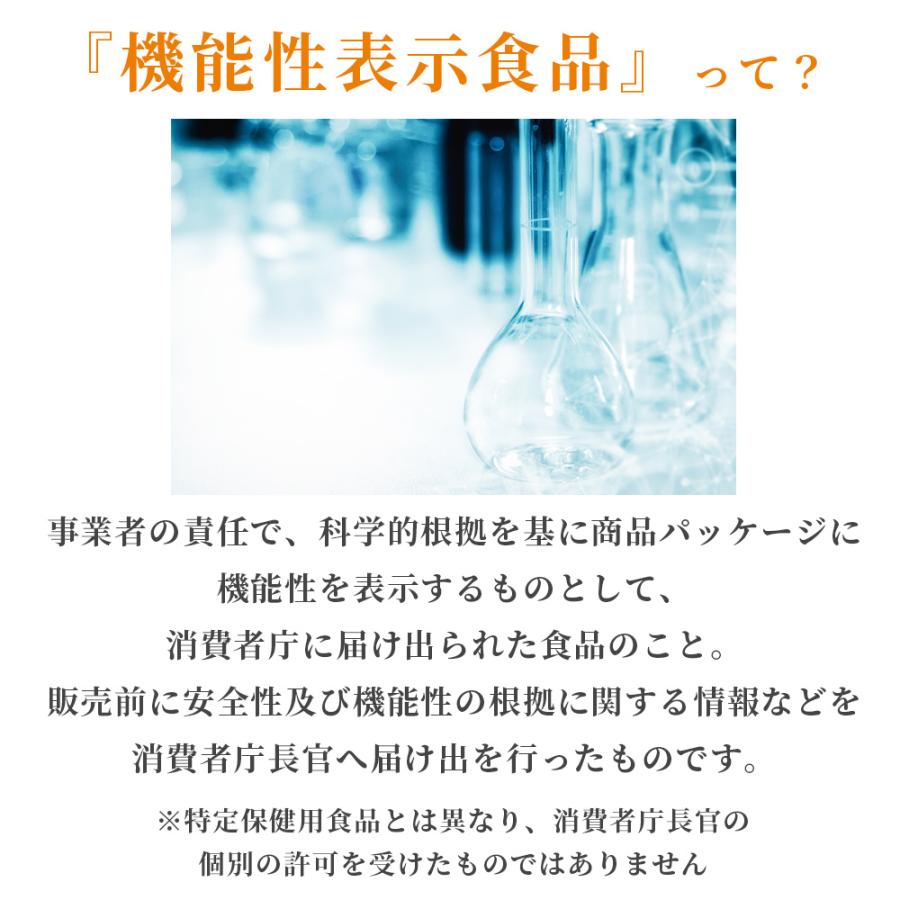 ななメタグラボ  30日分 3袋 くらしリズム メタグラボExn パウチ10日用 30粒 : くすりのレデイ