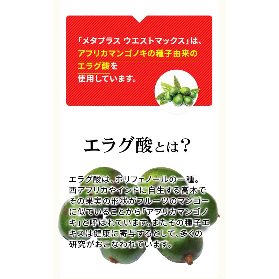 メタボリック サプリメント 2袋セット メタプラス ウエスト マックス 