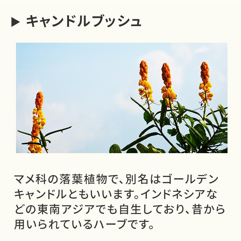 メタボリック エラグ酸 サプリ メタプラス ウエスト マックス （93粒