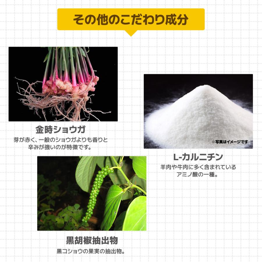 【公式】メタプラス ウエスト 62粒 31日分 メタボリック | メタボリック | 10