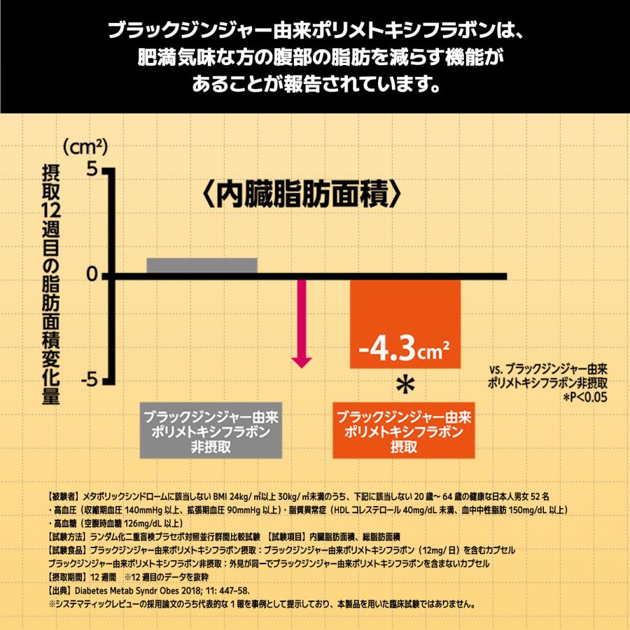 【公式】メタプラス ウエスト 62粒 31日分 メタボリック | メタボリック | 06