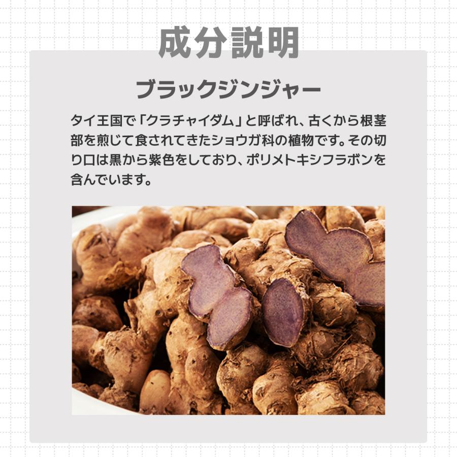 【公式】メタプラス ウエスト 62粒 31日分 メタボリック | メタボリック | 09