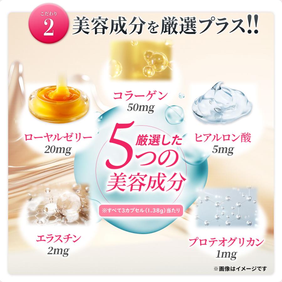 サプリメント 2箱セット ザ・プラセンタ ソフトカプセル 30袋入 メタボリック プラセンタ コラーゲン ヒアルロン酸 ローヤルゼリー プロテオグリカン 美容_7