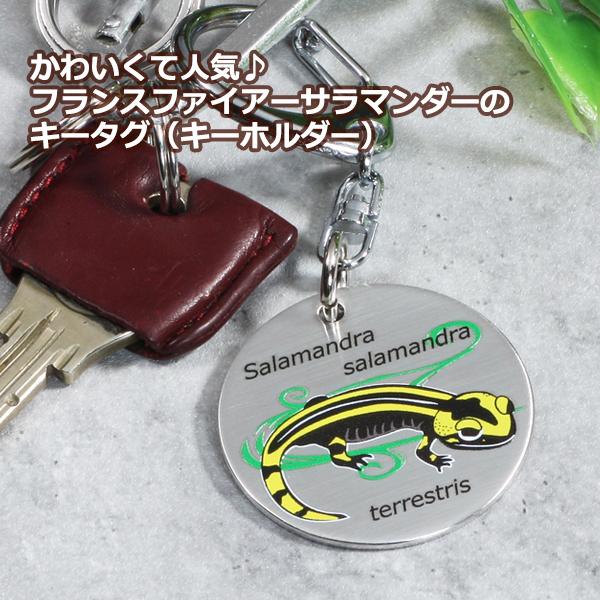 アンフィビアンズ　キータグ　フランスファイアーサラマンダー　/キーホルダー/両生類/有尾類/グッズ/雑貨/職人手作り/真鍮製/ | 